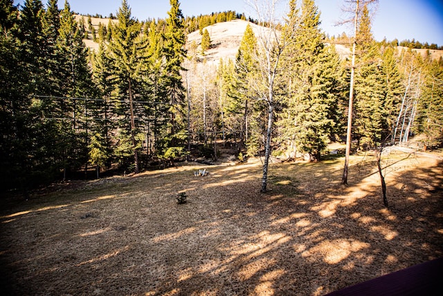 2025 Emmons Canyon Rd, Kila, MT 59920 - view of yard