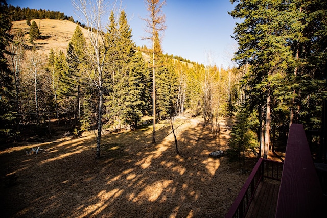 2025 Emmons Canyon Rd, Kila, MT 59920 - view of yard featuring a forest view