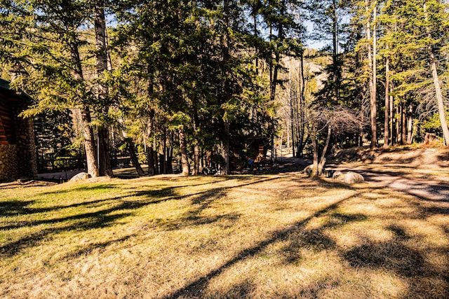 2025 Emmons Canyon Rd, Kila, MT 59920 - view of green lawn