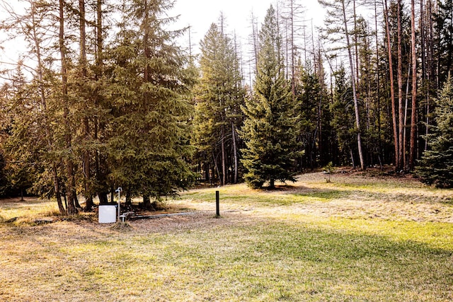 2025 Emmons Canyon Rd, Kila, MT 59920 - view of green lawn