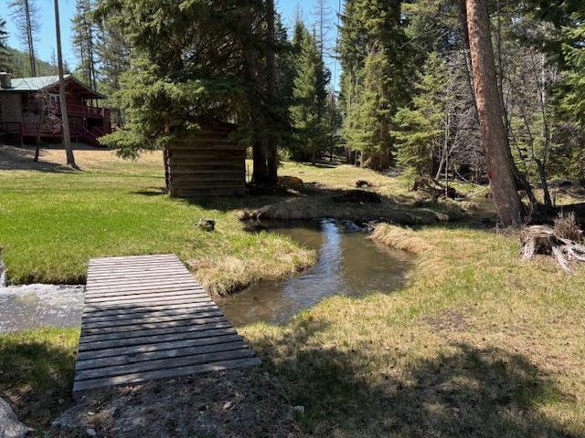 2025 Emmons Canyon Rd, Kila, MT 59920 - view of green lawn