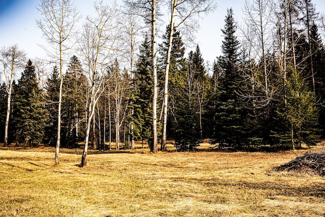2025 Emmons Canyon Rd, Kila, MT 59920 - view of nature