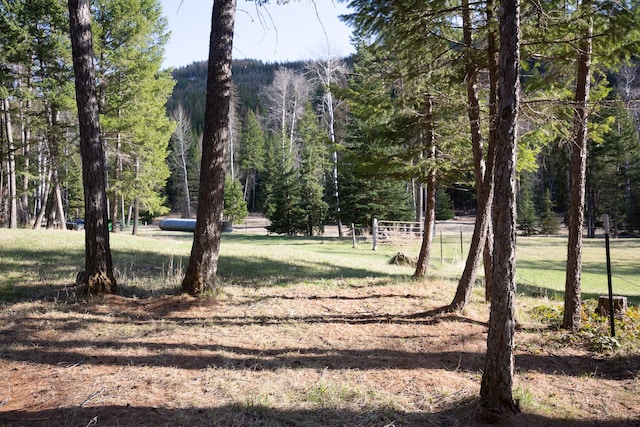 view of yard featuring a view of trees