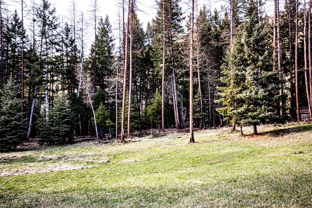 view of yard featuring a wooded view