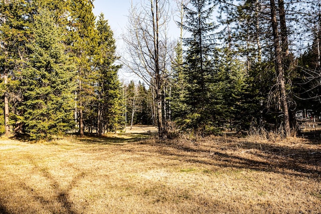 view of landscape featuring a forest view