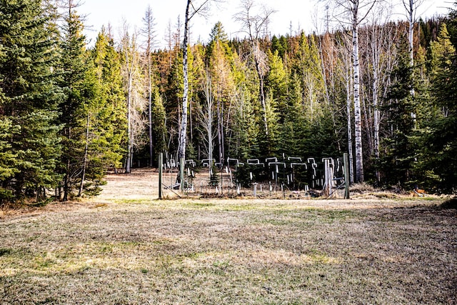 view of yard with a view of trees