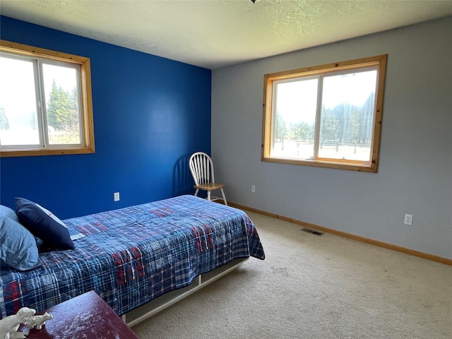 398 Little Beaver Creek Rd, Trout Creek, MT 59874 - carpeted bedroom featuring baseboards, multiple windows, visible vents, and a textured ceiling