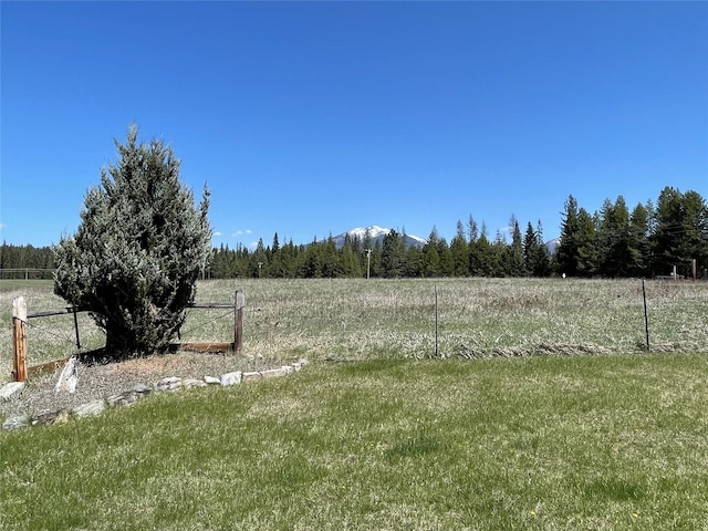 398 Little Beaver Creek Rd, Trout Creek, MT 59874 - view of yard with a rural view and a wooded view