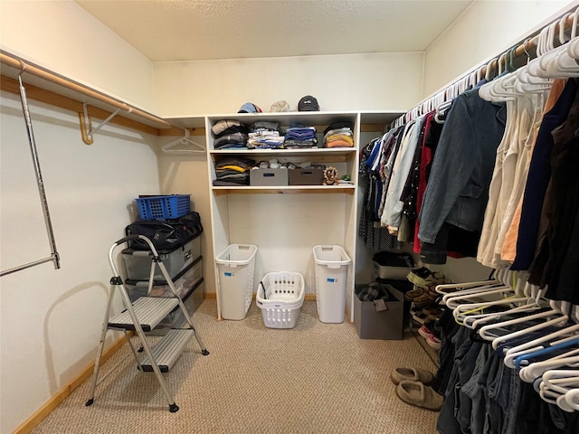 398 Little Beaver Creek Rd, Trout Creek, MT 59874 - walk in closet featuring carpet floors