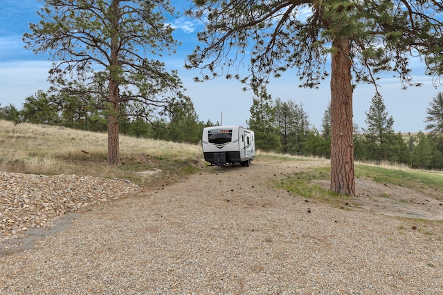 view of yard featuring dirt driveway