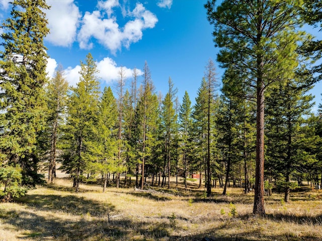 2910 Smith Lake Rd, Kila, MT 59920