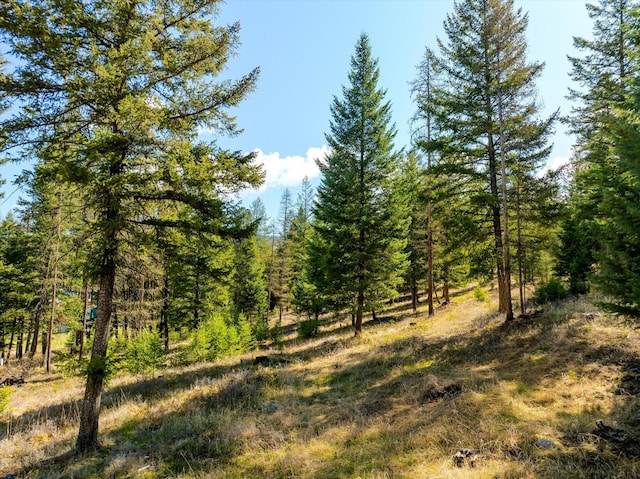 2910 Smith Lake Rd, Kila, MT 59920