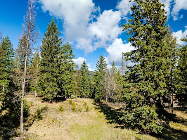 2910 Smith Lake Rd, Kila, MT 59920