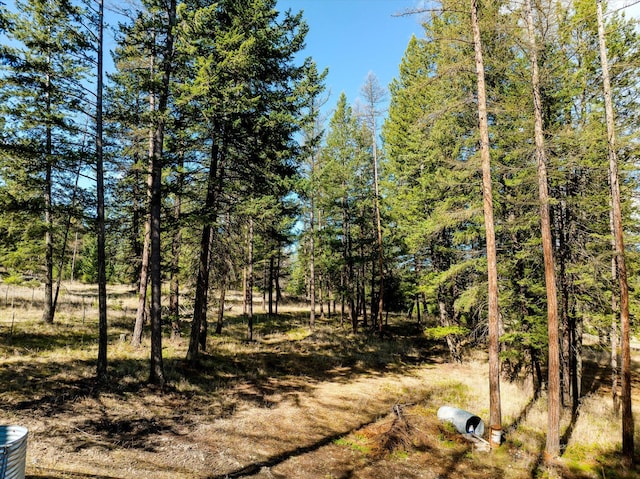 2910 Smith Lake Rd, Kila, MT 59920