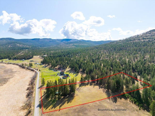 2910 Smith Lake Rd, Kila, MT 59920