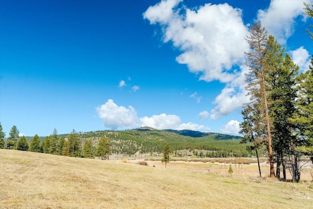 2910 Smith Lake Rd, Kila, MT 59920