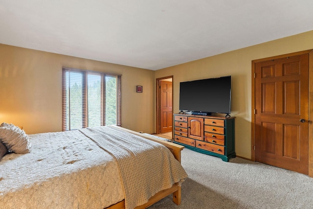 bedroom featuring carpet