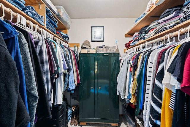 view of walk in closet