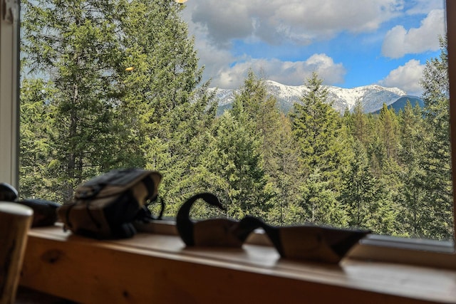 details with a wooded view and a mountain view