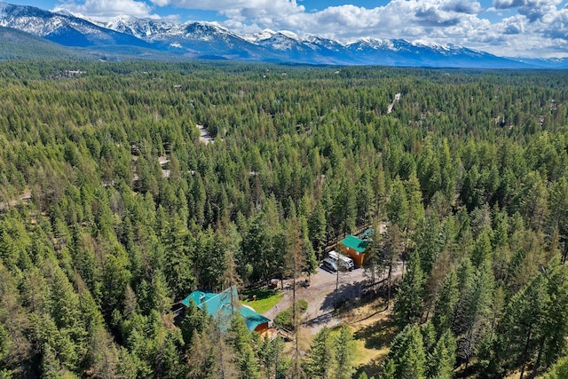 bird's eye view with a view of trees and a mountain view