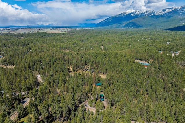 drone / aerial view with a forest view and a mountain view