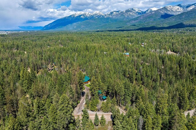 drone / aerial view featuring a forest view and a mountain view