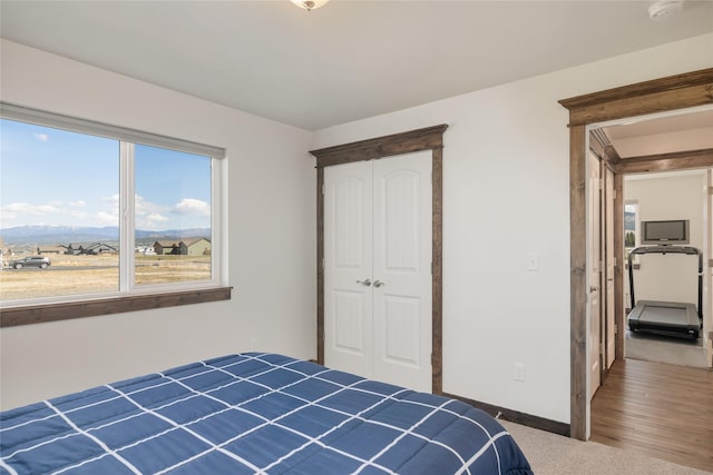 2277 Spring Wheat Loop, East Helena, MT 59635 - unfurnished bedroom featuring a closet, baseboards, and a mountain view