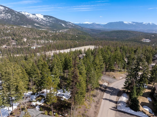 128 Ridge Run Dr, Whitefish, MT 59937