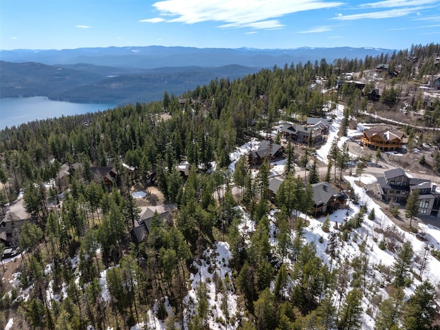 128 Ridge Run Dr, Whitefish, MT 59937