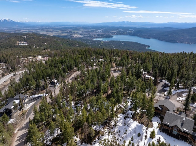 128 Ridge Run Dr, Whitefish, MT 59937