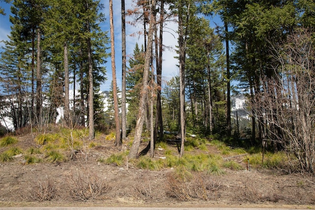 128 Ridge Run Dr, Whitefish, MT 59937