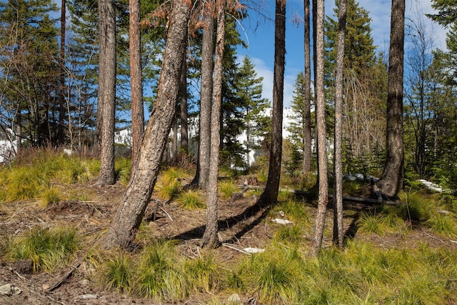 128 Ridge Run Dr, Whitefish, MT 59937