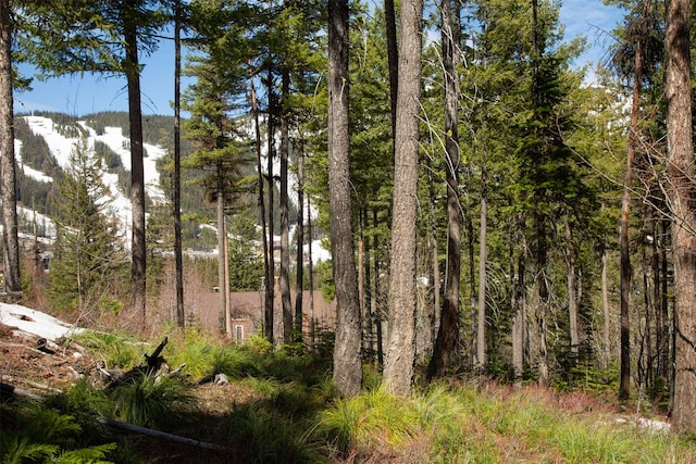 128 Ridge Run Dr, Whitefish, MT 59937