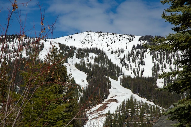 128 Ridge Run Dr, Whitefish, MT 59937