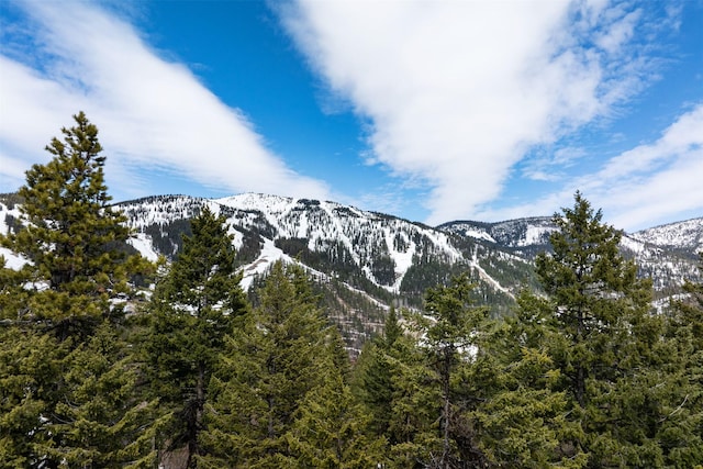 128 Ridge Run Dr, Whitefish, MT 59937