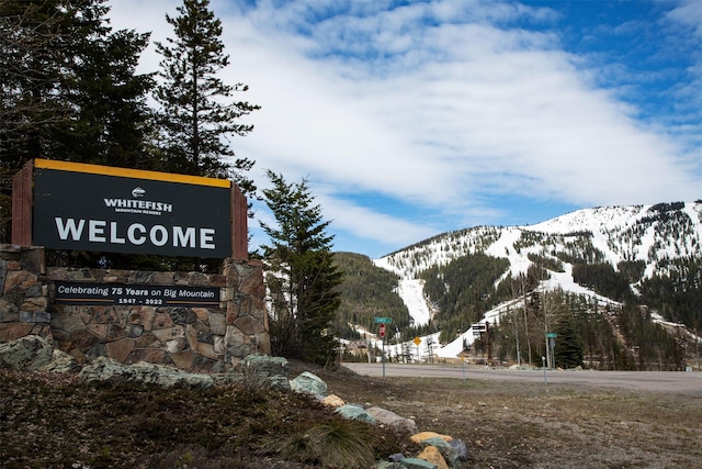 128 Ridge Run Dr, Whitefish, MT 59937