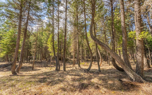 1298 E Mountain Meadow Rd, Kalispell, MT 59901 - view of wooded area