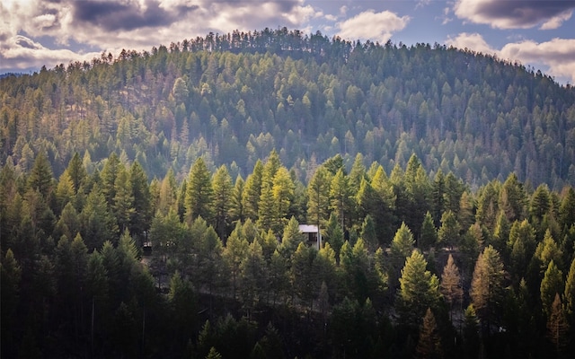 1298 E Mountain Meadow Rd, Kalispell, MT 59901 - mountain view with a forest