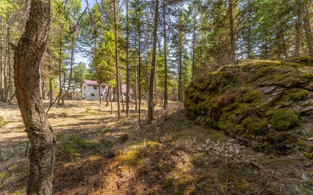 1298 E Mountain Meadow Rd, Kalispell, MT 59901 - view of nature