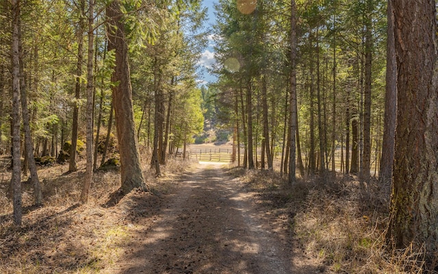 1298 E Mountain Meadow Rd, Kalispell, MT 59901 - view of dirt / gravel road featuring a forest view