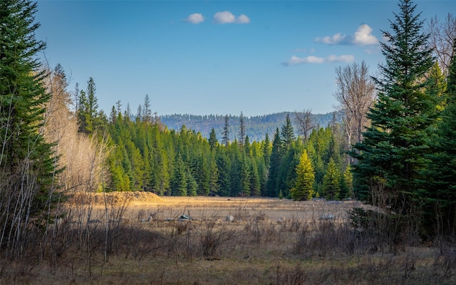 1298 E Mountain Meadow Rd, Kalispell, MT 59901 - view of mountain backdrop with a forest