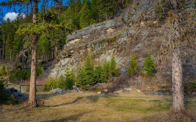 1298 E Mountain Meadow Rd, Kalispell, MT 59901 - view of yard featuring a wooded view