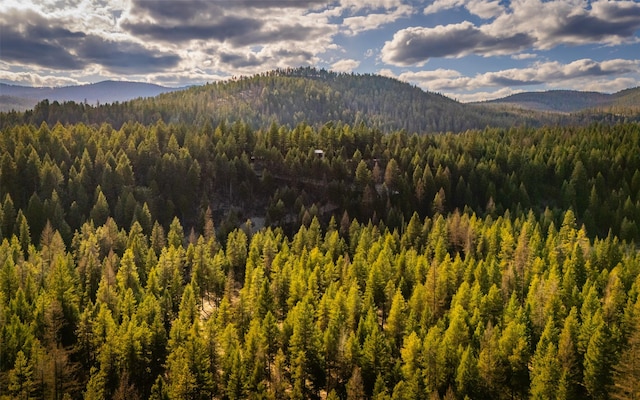 1298 E Mountain Meadow Rd, Kalispell, MT 59901 - view of mountain backdrop with a heavily wooded area