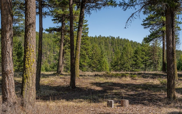 1298 E Mountain Meadow Rd, Kalispell, MT 59901 - view of woods