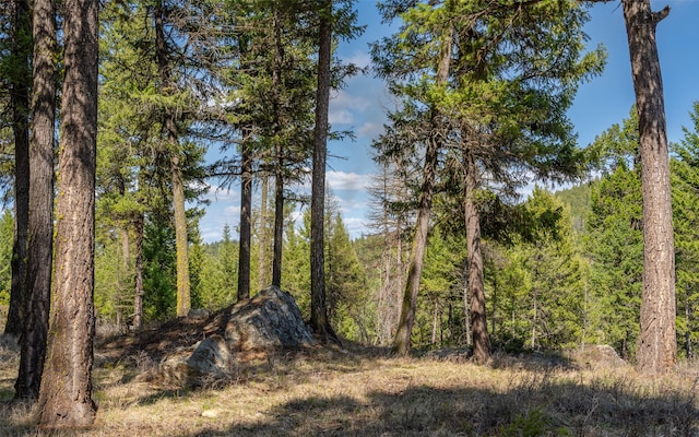 1298 E Mountain Meadow Rd, Kalispell, MT 59901 - view of woods