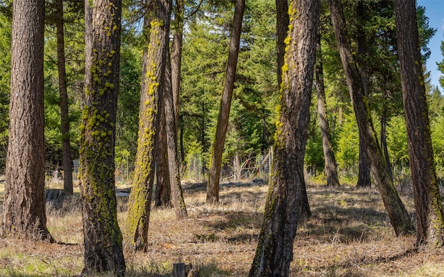 1298 E Mountain Meadow Rd, Kalispell, MT 59901 - view of woods