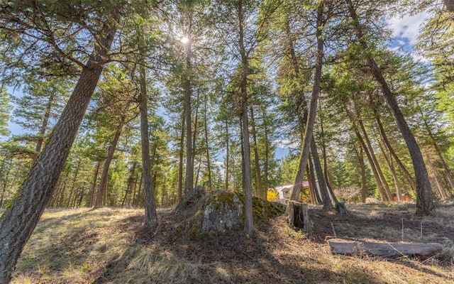 1298 E Mountain Meadow Rd, Kalispell, MT 59901 - view of undeveloped land