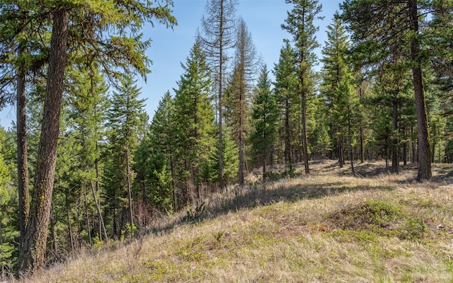 1298 E Mountain Meadow Rd, Kalispell, MT 59901 - view of woods