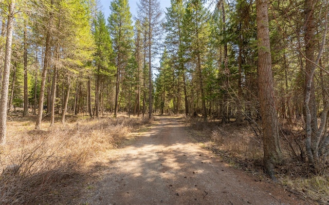 1298 E Mountain Meadow Rd, Kalispell, MT 59901 - view of street featuring a view of trees