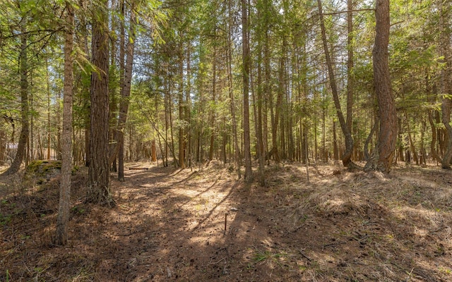 1298 E Mountain Meadow Rd, Kalispell, MT 59901 - view of woods